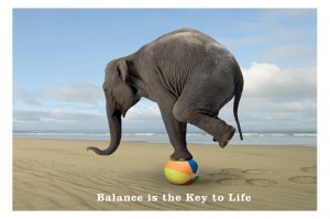 elephant-balance