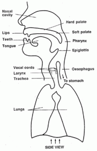 Jo-Estill-2